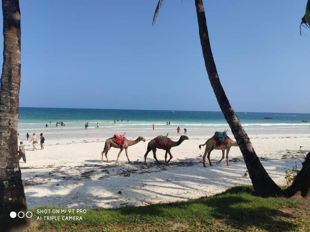 Rosy Sea Front Beach Condo Bamburi Zewnętrze zdjęcie